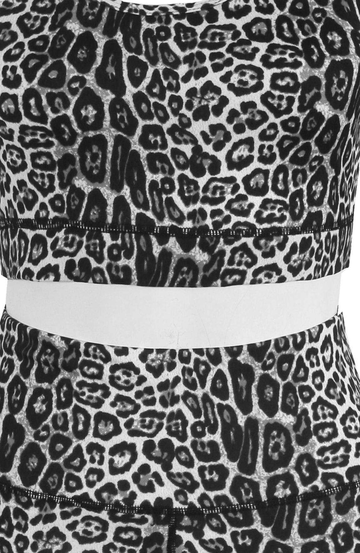 Leopard Print Active Set – Grey